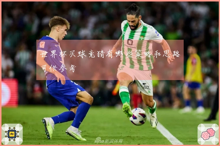 世界杯买球竞猜有哪些策略和思路可供参考