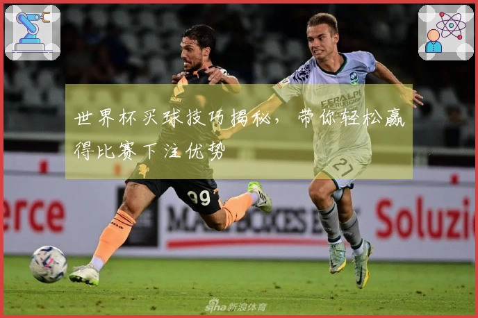 世界杯买球技巧揭秘，带你轻松赢得比赛下注优势