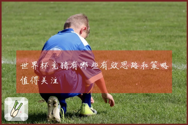 世界杯竞猜有哪些有效思路和策略值得关注