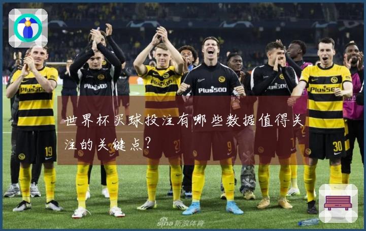 世界杯买球投注有哪些数据值得关注的关键点？