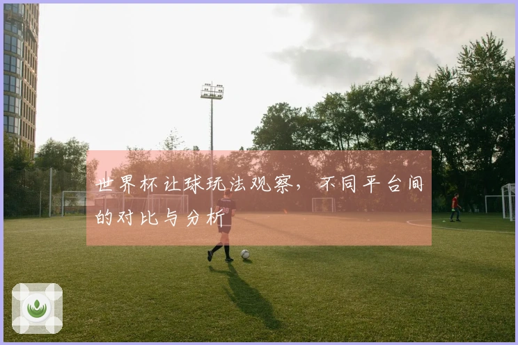 世界杯让球玩法观察，不同平台间的对比与分析