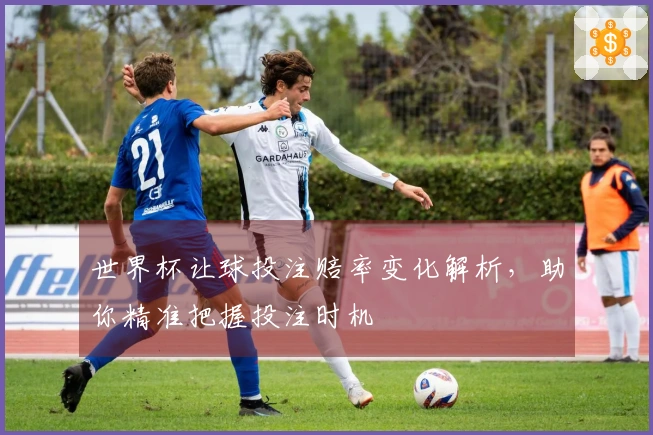 世界杯让球投注赔率变化解析，助你精准把握投注时机