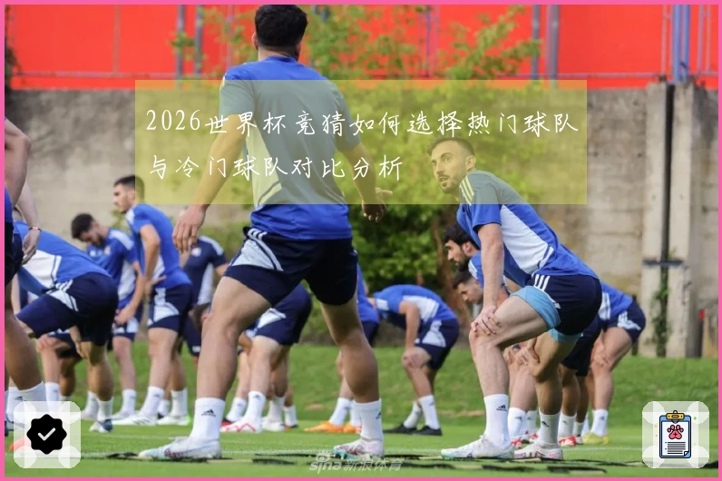 2026世界杯竞猜如何选择热门球队与冷门球队对比分析