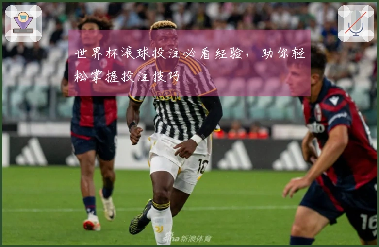 世界杯滚球投注必看经验，助你轻松掌握投注技巧
