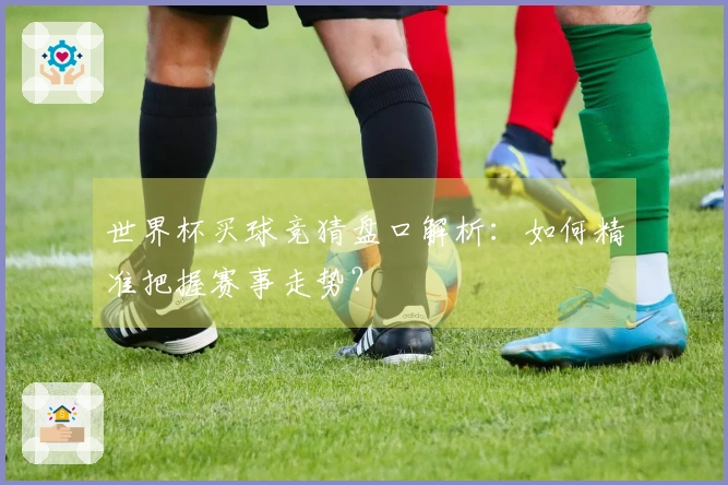 世界杯买球竞猜盘口解析：如何精准把握赛事走势？