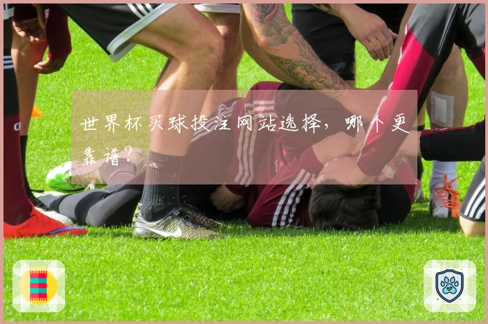 世界杯买球投注网站选择，哪个更靠谱？