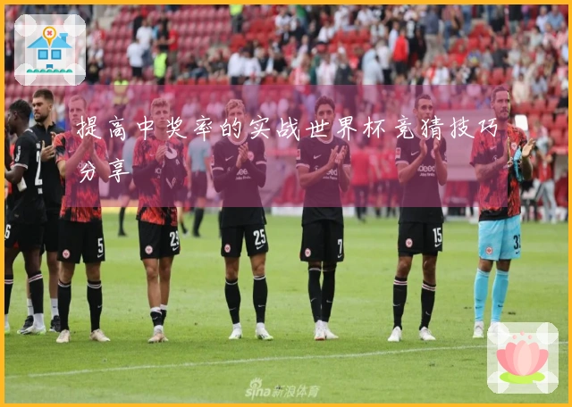 提高中奖率的实战世界杯竞猜技巧分享