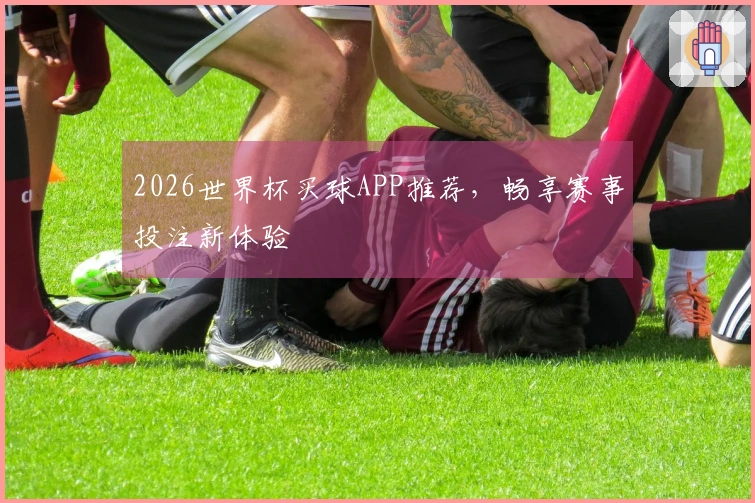2026世界杯买球APP推荐，畅享赛事投注新体验