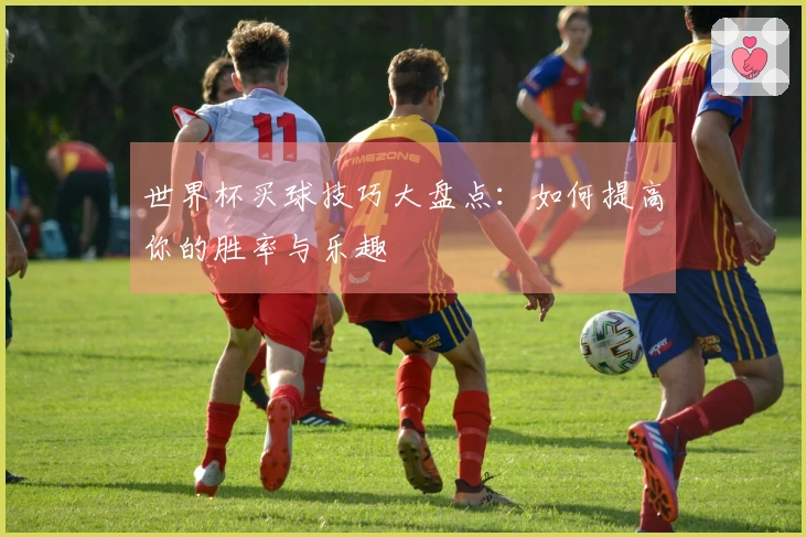 世界杯买球技巧大盘点：如何提高你的胜率与乐趣