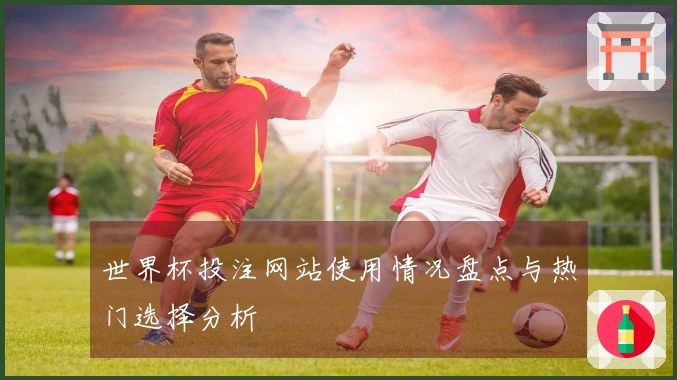 世界杯投注网站使用情况盘点与热门选择分析