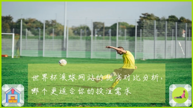 世界杯滚球网站的优劣对比分析，哪个更适合你的投注需求