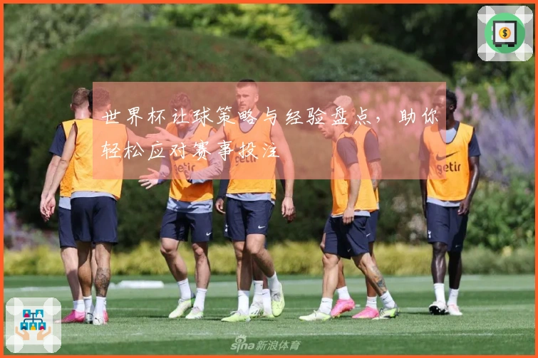 世界杯让球策略与经验盘点，助你轻松应对赛事投注