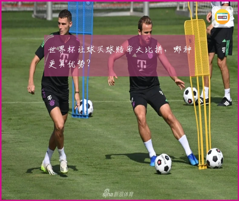 世界杯让球买球赔率大比拼，哪种更具优势？