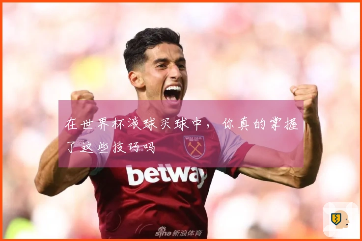 在世界杯滚球买球中，你真的掌握了这些技巧吗